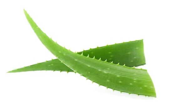 Fungent vsebuje aloe vero